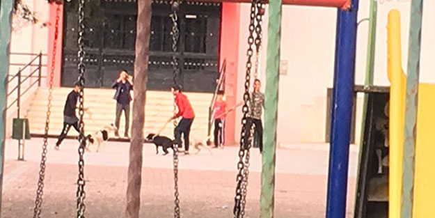 İlkokul bahçesinde skandal görüntüler!