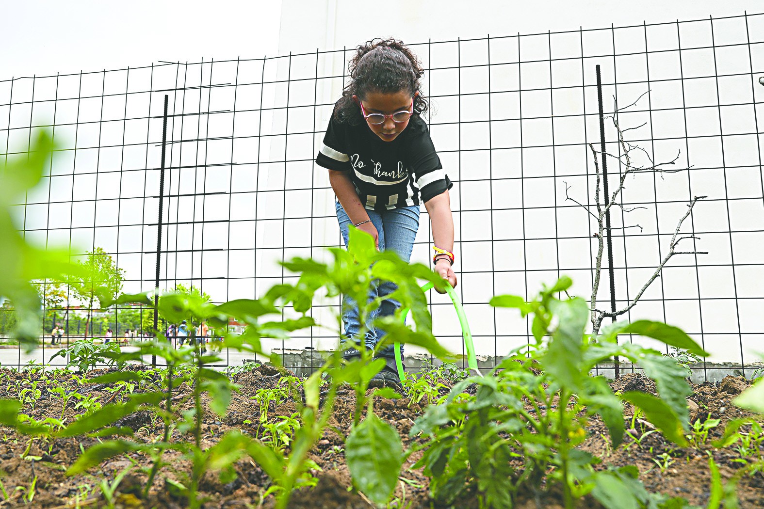 İlkokullu minikler ihtiyaç sahipleri için mahsuller yetiştiriyor