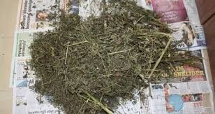 Resmi Rezerv Varlıkları Aralık ayında yüzde 7,2 azaldı