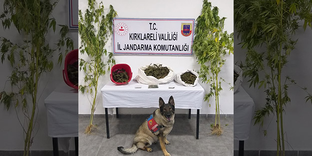'İmaj'ın katıldığı aramada yaklaşık 4 kilogram kubar ele geçirildi