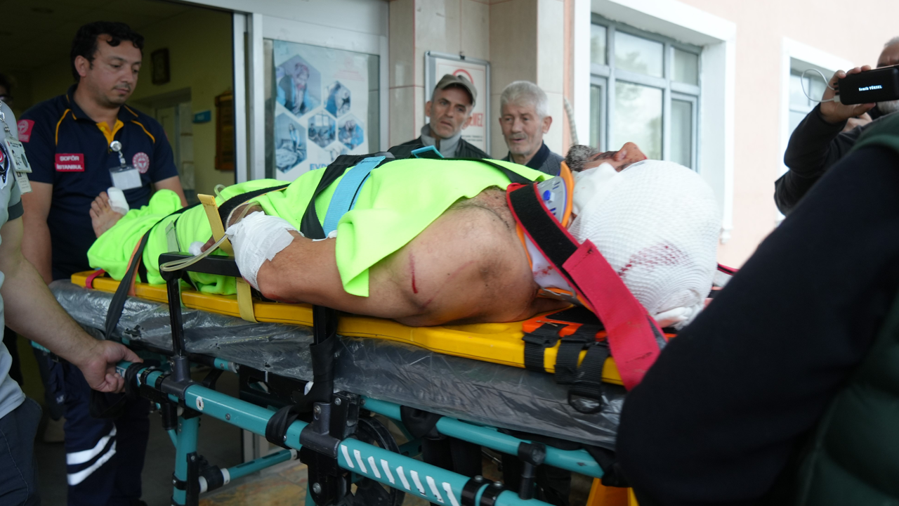 İmama ayı saldırdı