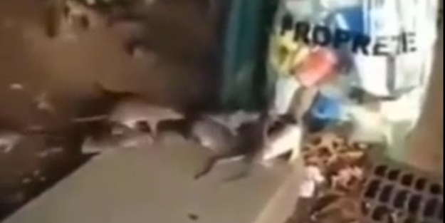 İmamoğlu bu şehirle mi kardeş olmak istiyor? Paris'in şok görüntüleri ortaya çıktı