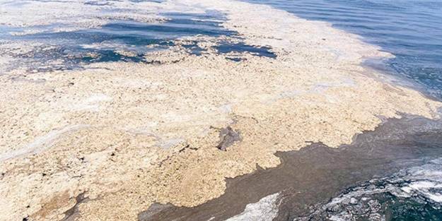 İmamoğlu uyurken YÖK olaya el attı