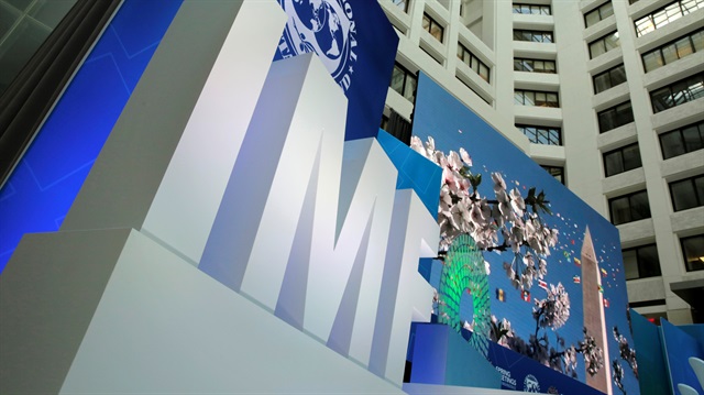 IMF'nin Türkiye şaşkınlığı