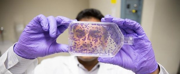 Kemoterapiye alternatif olabilir mi?