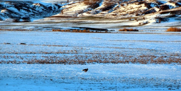İmranlı Barajı ve Tödürge Gölü buz tuttu