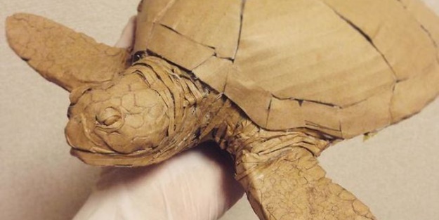 İnanamayacaksınız ama kartondan yapıldı!