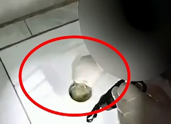 İnanılır gibi değil! Polisler bile şaştı kaldı