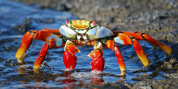 İnanılmaz buluş! Bilim insanları sınırsız enerji kaynağını buldu