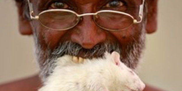 İnanılmaz gerçek: Fare yiyen insanlar