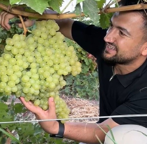 İnanması güç! Tam beş kilo ağırlığında