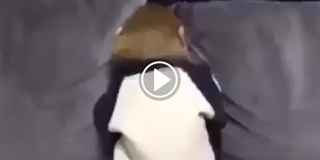 İnatçı maymun ikna olmadı!