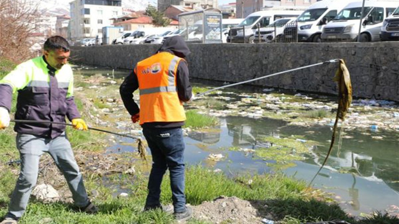 İnci kefalini yaşatmak için 2 ton çöp toplandı
