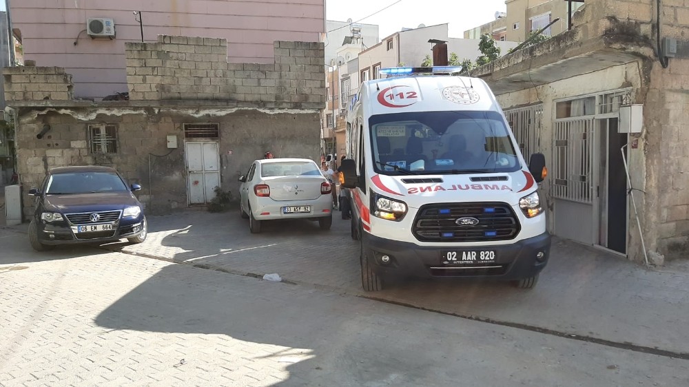 İncir ağacından düşen kadın yaralandı 