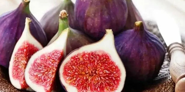  İncir aslında meyve değilmiş... İncirle ilgili kimsenin bilmediği detay bakın ne çıktı