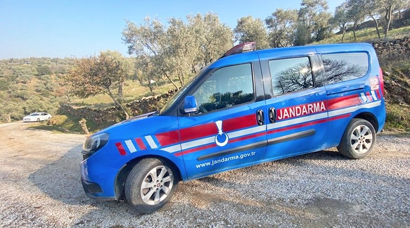 İncir hırsızları Jandarma'ya habersizce yakalandı: İncirler olana kadar kalsaydın bari..