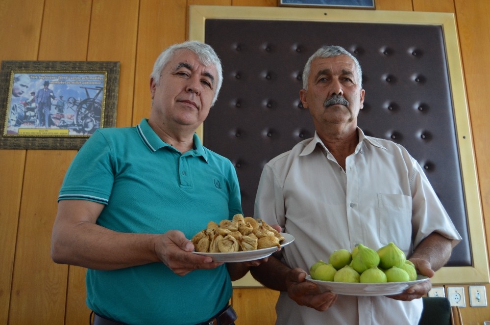 İncir üreticisinin keyfi yerinde 