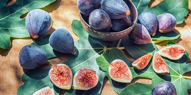 İncir yaprağı ne işe yarar? Merak uyandırdı Binbir derde deva adeta silah! Yeter doğru teknik kullanın