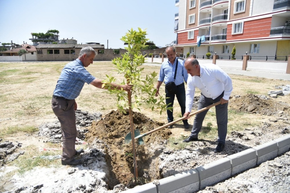 İncirliova’da ağaçlandırma çalışmaları devam ediyor 