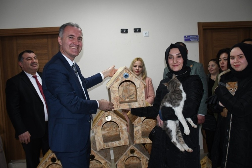 İnegöl Belediyesi, kedi sahiplenene yuva hediye edecek 