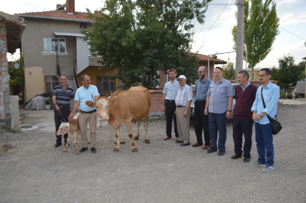 İnekleri telef olan aileye yardım 