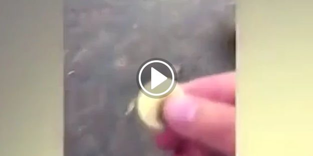 İngiliz soytarılardan alçak hareket