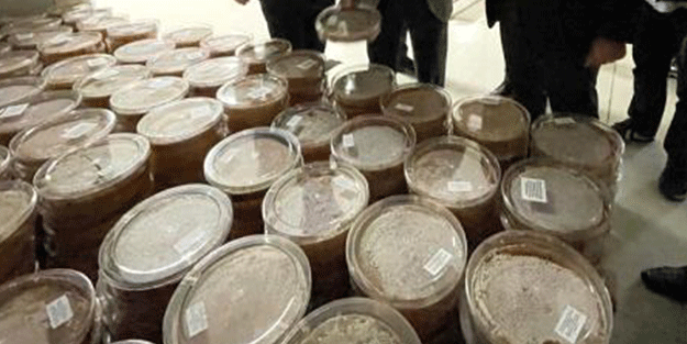 İngilizler peşine düştü! Ordu'dan tam 23 ton sipariş verdiler