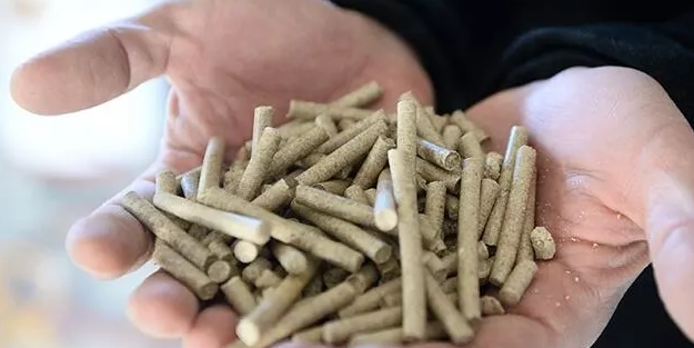 İngiltere enerji kriziyle mücadele etmek için Kanada'dan pelet alıyor