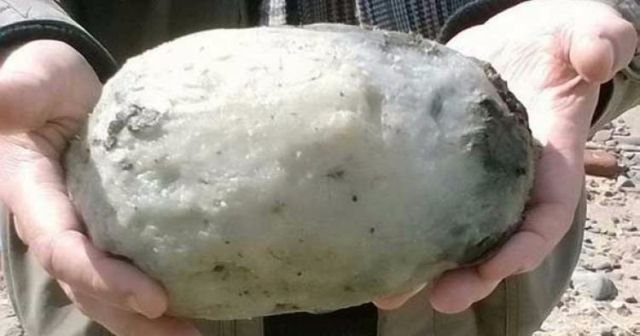 İngiltere sahilinde buldular değeri 200 bin lira