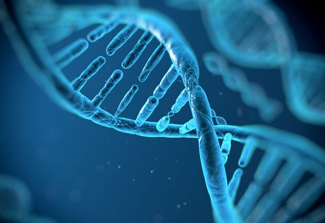 İngiltere’de bir kişi HIV virüsünden kurtuldu