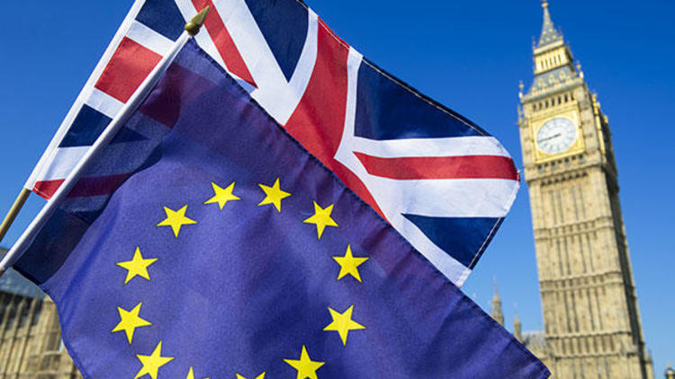 İngiltere'de Brexit krizi: 8 öneri de çoğunluk desteği alamadı