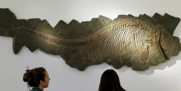 İngiltere’de heyecanlandıran tarihi keşif: Dünyada İlk kez çıkarılan son fosil! O milyonlarca yıl yaşında!