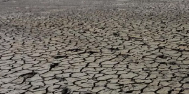 İngiltere'de kuraklık ilan edildi! 
