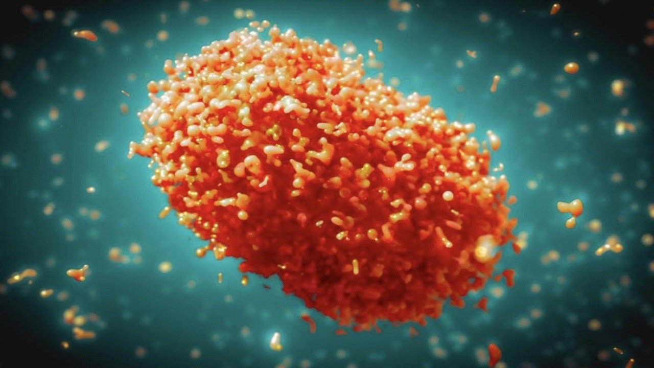 İngiltere'de panik! Yeni vaka tespit edildi