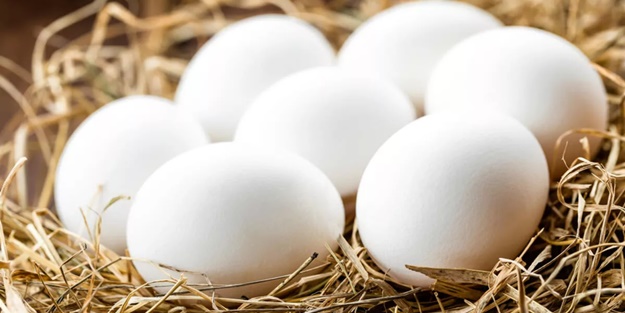 İngiltere'de yumurta krizinde yeni perde: Bu sadece başlangıç