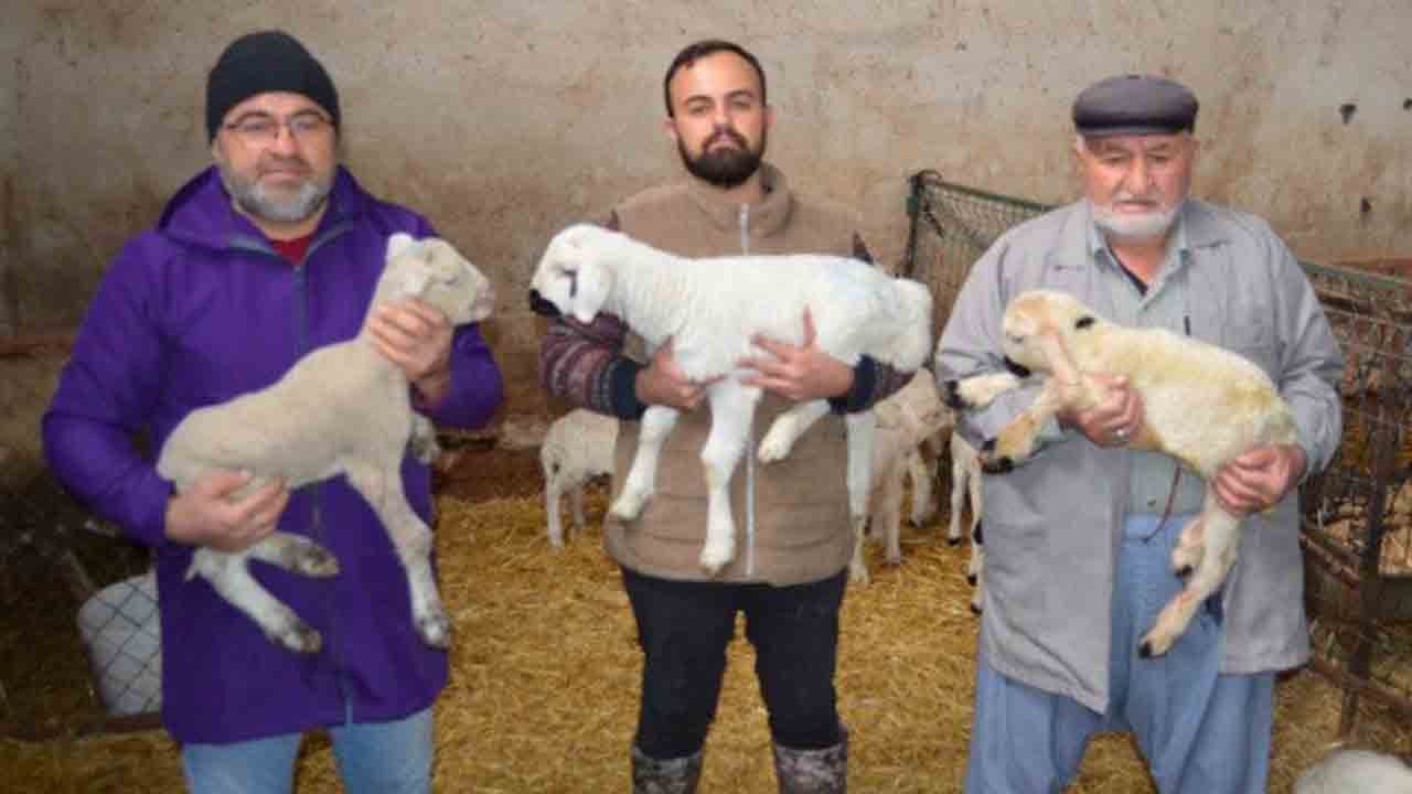 İngiltere’den köye döndü: Baba mesleğini tutkuyla sürdürüyor