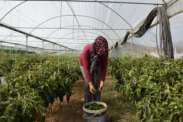 İnhisarlı kadınlar hayallerini gerçekleştirdi