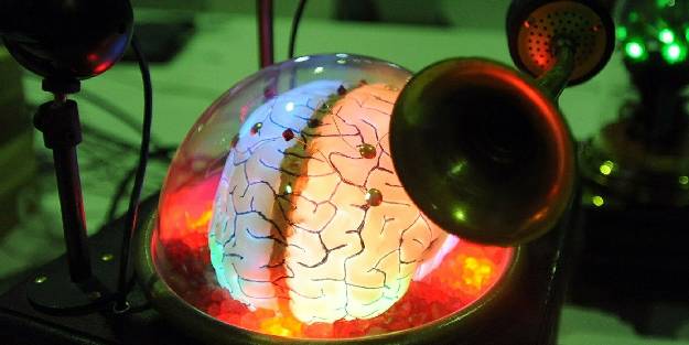 İnsan beyninden alınan bir parça ilk kez dışarıda 12 saat boyunca canlı tutuldu