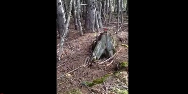 İnsan gibi nefes alan toprak - VİDEO