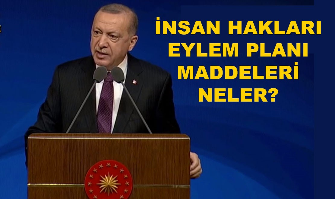 İnsan Hakları Eylem Planı maddeleri neler?