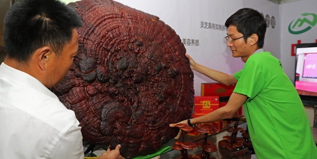 İnsan ömrünü 120 yıla çıkarıyor