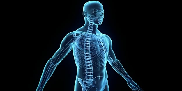 İnsan vücudunda yeni bir organ keşfedildi