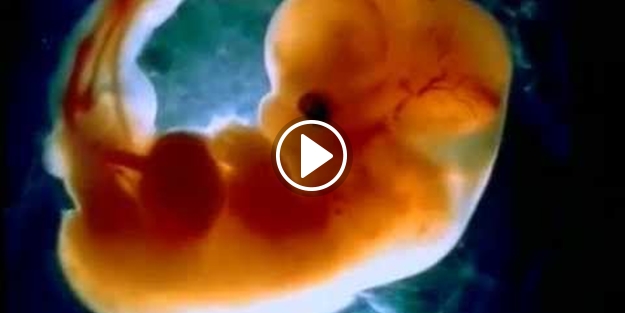 İnsanın yaratılış serüveni