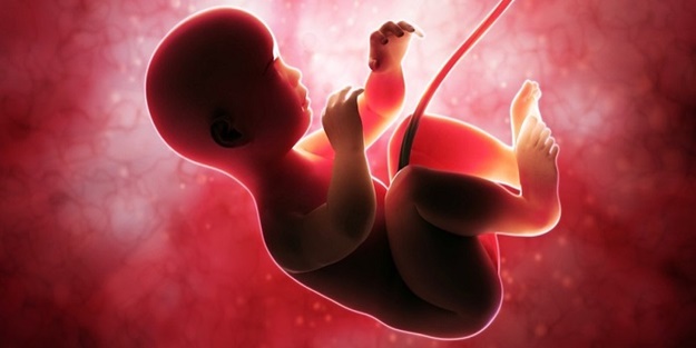 İnsanın yaratılışındaki son üç ay