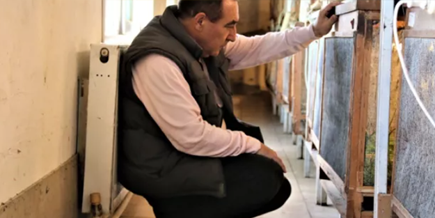 İnsanlar korkudan yanlarına yaklaşamıyor! O ise tanesini 30 liradan satıp paraya para demiyor