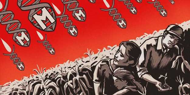 İnsanları kanser yapıyorlardı: Zehir taciri Monsanto'ya (Bayer) Türkiye'den büyük şok!