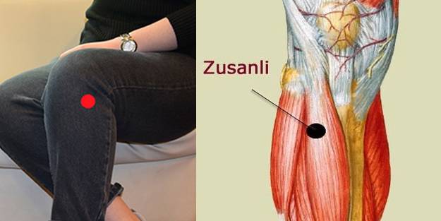 İnsanların da bilgisayar gibi ‘yeniden başlat’ tuşu var