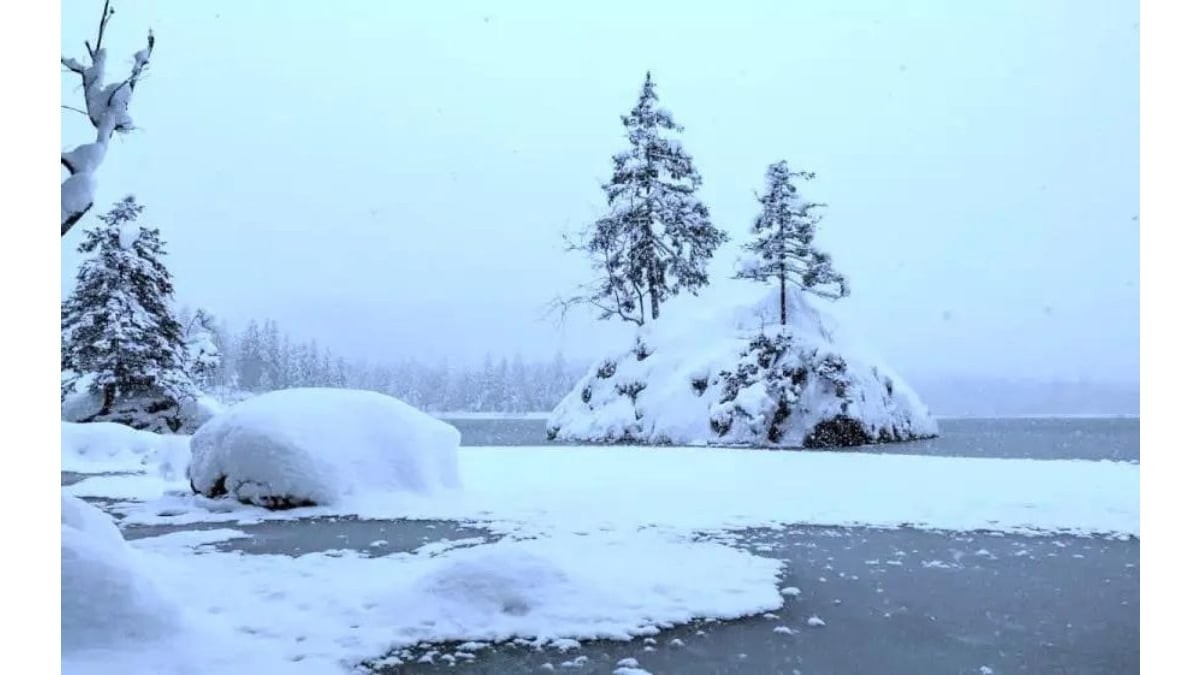 İnsanların yüzde 99'u fotoğraftaki kutup ayısını göremiyor! Sadece keskin gözlü olanlar 8 saniyede bulabiliyor
