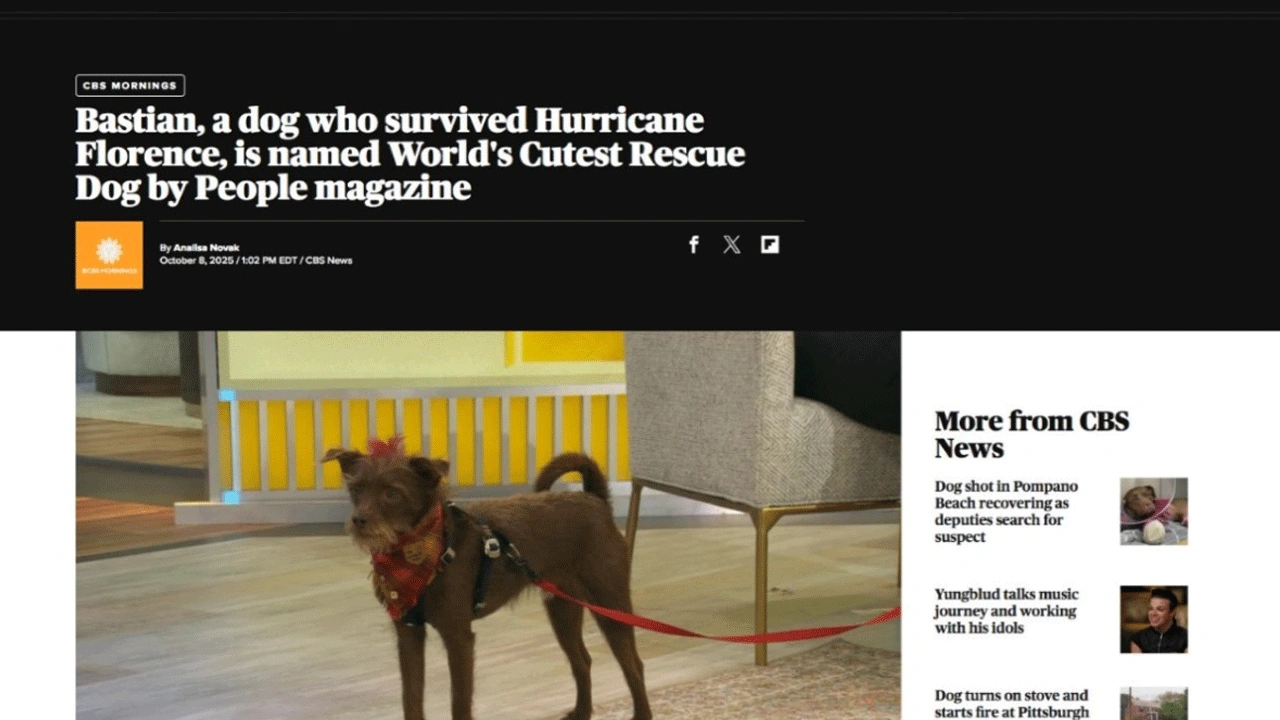 İnsanlık can çekişiyor, itperestlerin derdine bak! Bu da zihinsel soykırım