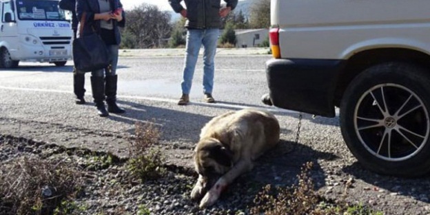 İnsanlık dışı muamele!